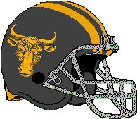 Woochai Bison helmet