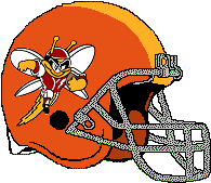 Fudefu Fireflies helmet
