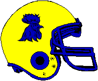 Cork River Fighting Cocks helmet