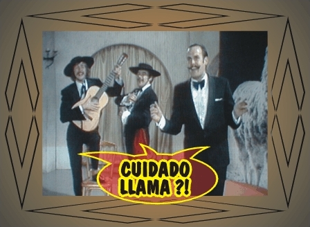 CUIDADO, LLAMA ?!