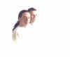 f1.jpg (22870 bytes)
