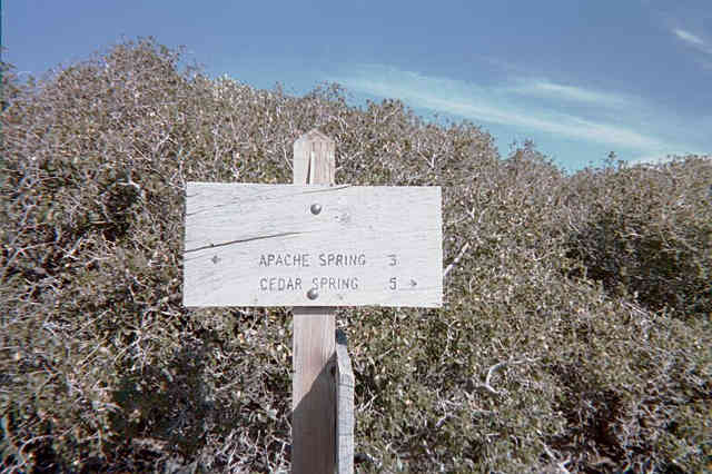 3 MILES UPHILL TO APACHE SPRINGS
