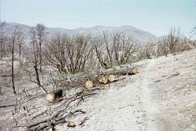 BURN AREA