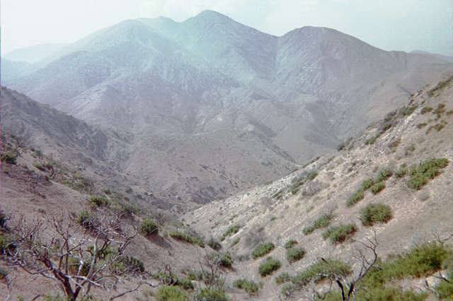 GOLD CANYON