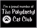 Learn all about Polydactyl cats here!