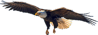 on eagles' wings