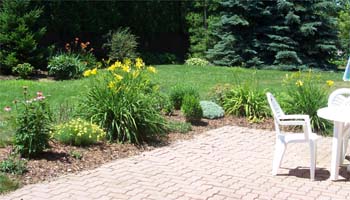 Patio Garden in July