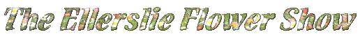 title.gif (11629 bytes)