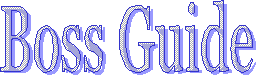 Boss Guide