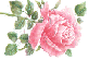 rosey.gif (3951 bytes)