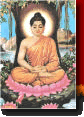 Buddha's Enlightenment