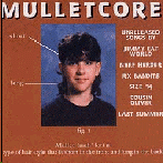 Mulletcore