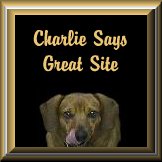 Award from Charlie and Cricket