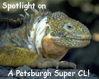 Spotlight on Community Leaders