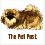 The Pet Post Webring Home