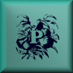 Proud To 
  Live In Petsburgh Burb