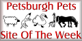 Pet Site of The Week
