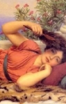 Noonday Rest