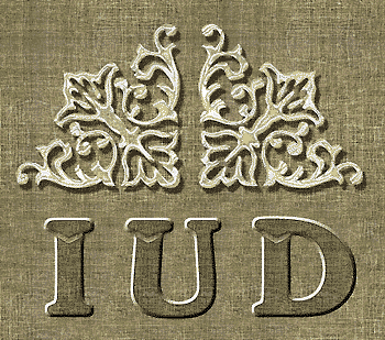 Image support as a fullscreen preview