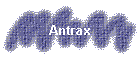 Antrax