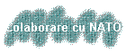 Colaborare cu NATO