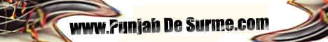 pdsbanner.jpg (40890 bytes)