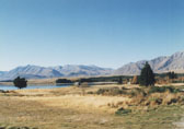 newzealand