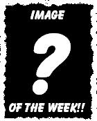 Image of the Week