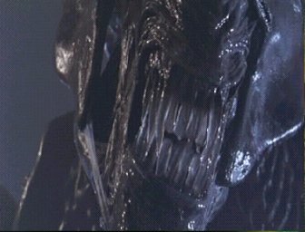 Nice Teeth!
