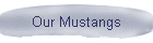 Our Mustangs