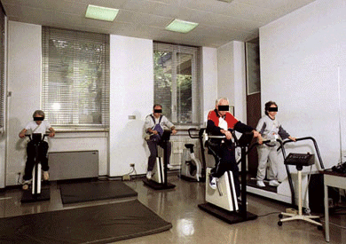 cyclette1.gif (78479 byte)