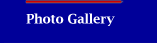 Gallery of Zivio Photos