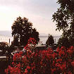 VIEUW FROM BALCONY