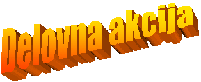 Delovna akcija