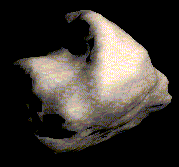 Asteroid 6489 Golevka!