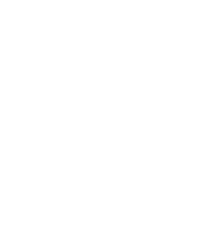 Parts of one comet