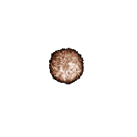 1 Ceres