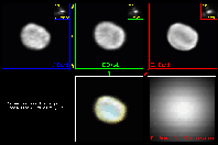 4 Vesta
