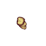 1620 Geographos
