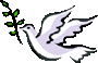 pigeon.gif