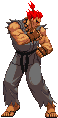 TODO LO DE CAPCOM LO TENEMOS SOMOS FANS
