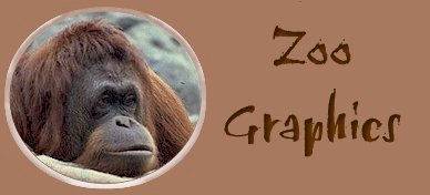 Welcome to Zoo Graphics