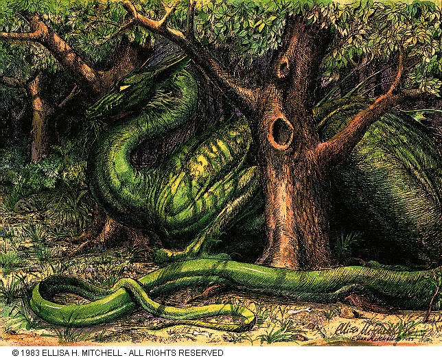 Forest Guardian