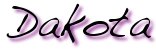 Dakota__.ttf