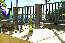 Table with vine
