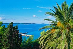 View to bay