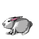 leaping bunny