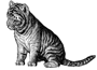 Learning Lab Tiger