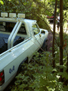 dodback.1.gif - 13704 Bytes
