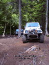 falls1.1.gif - 13432 Bytes